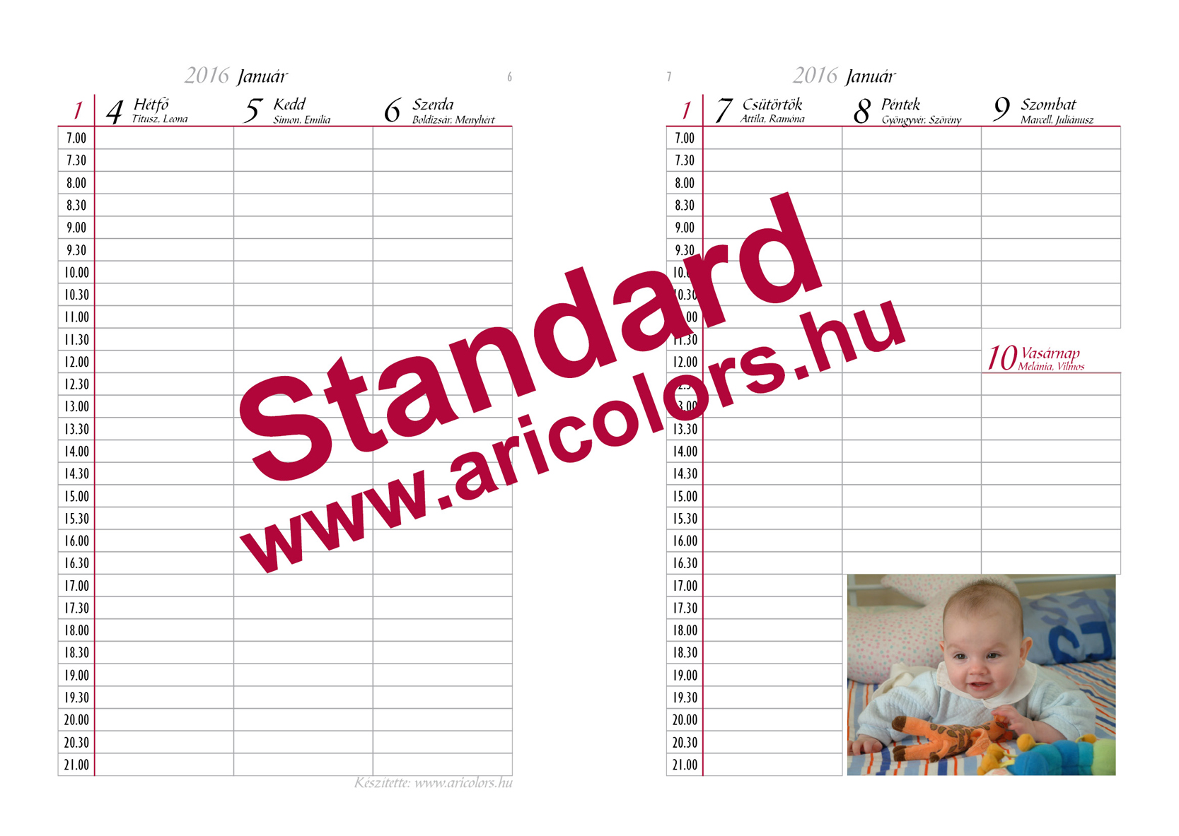 Egyedi hatridnapl standard tpus
